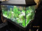 Mooi beplant aquarium, Dieren en Toebehoren, Vissen | Aquaria en Toebehoren, Ophalen, Gebruikt, Gevuld zoetwateraquarium