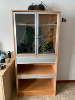 Gratis slangenverblijf, Enlèvement, Utilisé, Terrarium ou Paludarium