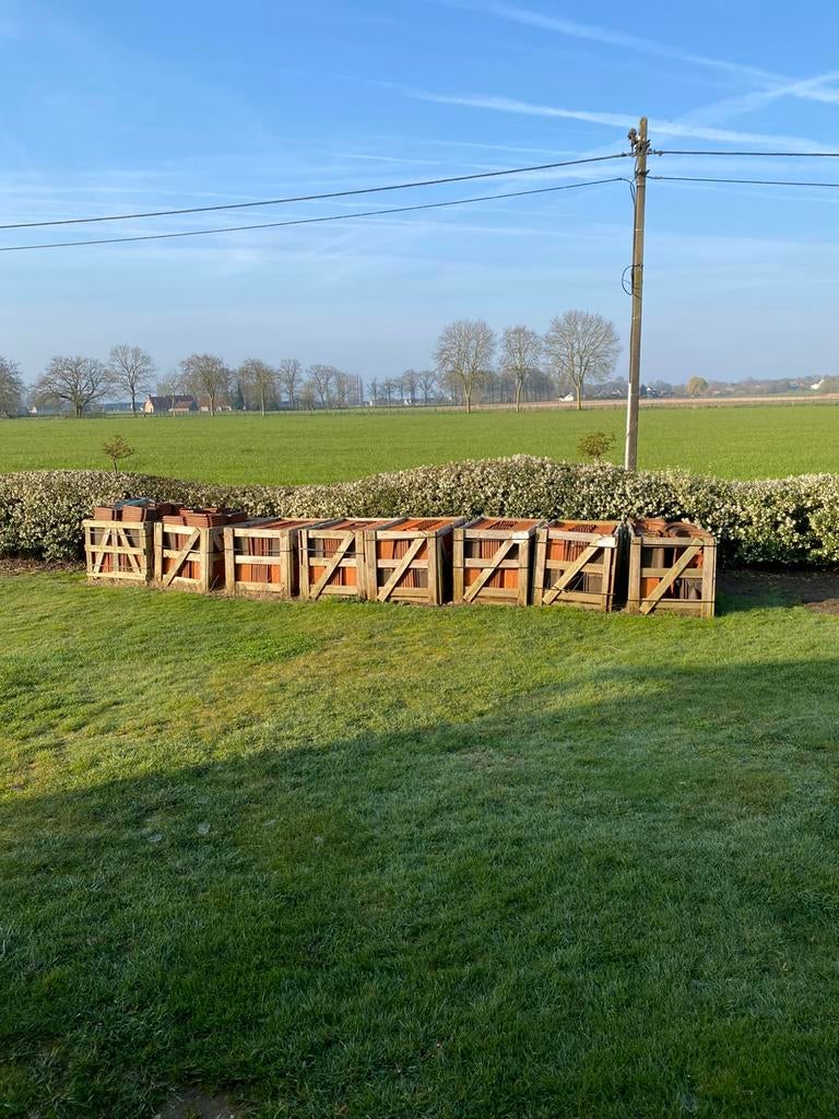 Dakpannen, Dieren en Toebehoren