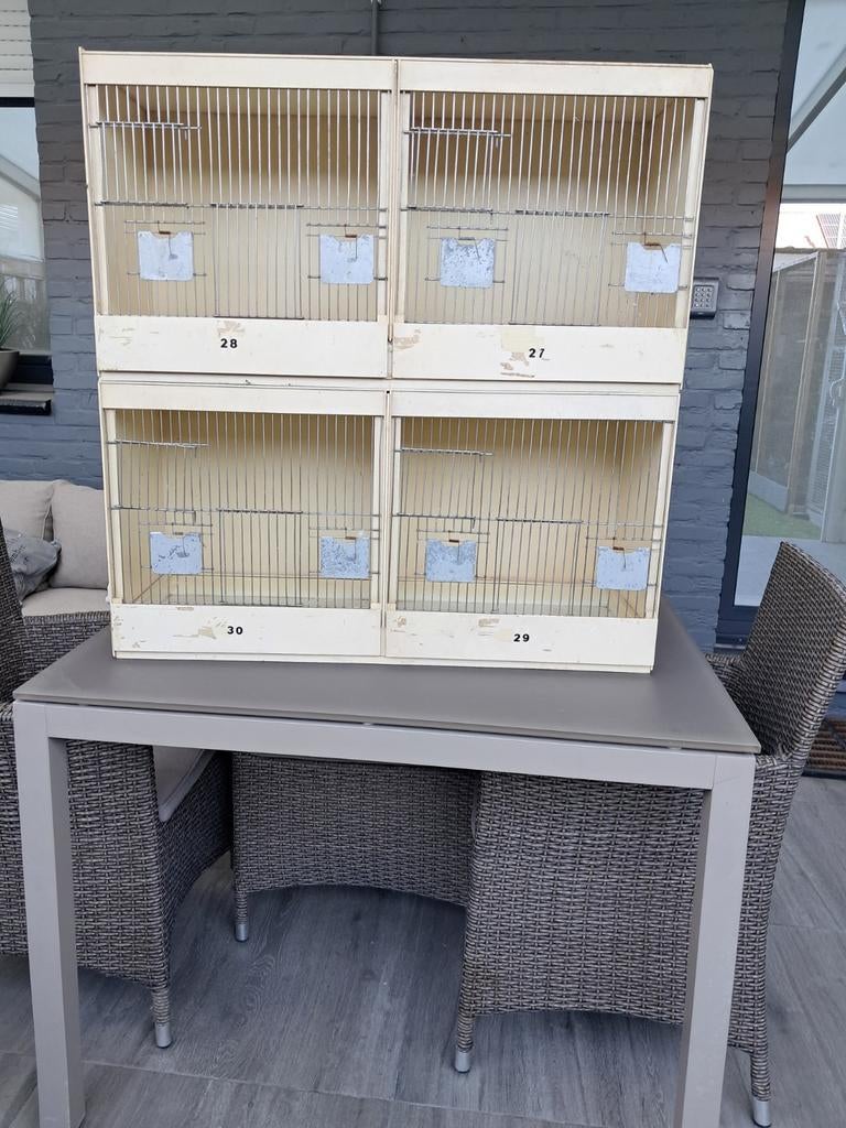 Kweekkooien, Animaux & Accessoires, Oiseaux | Cages & Volières, Enlèvement