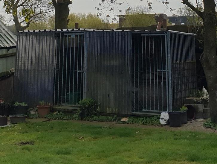 Honden renne, Animaux & Accessoires, Maisons pour chiens, Niche à chien, Enlèvement