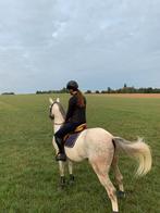 Paardrijles aan huis & Zadelmak maken van paarden, Dieren en Toebehoren