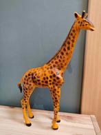 Grande girafe, Enlèvement ou Envoi