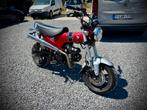 Honda Dax 125 cc, Particulier