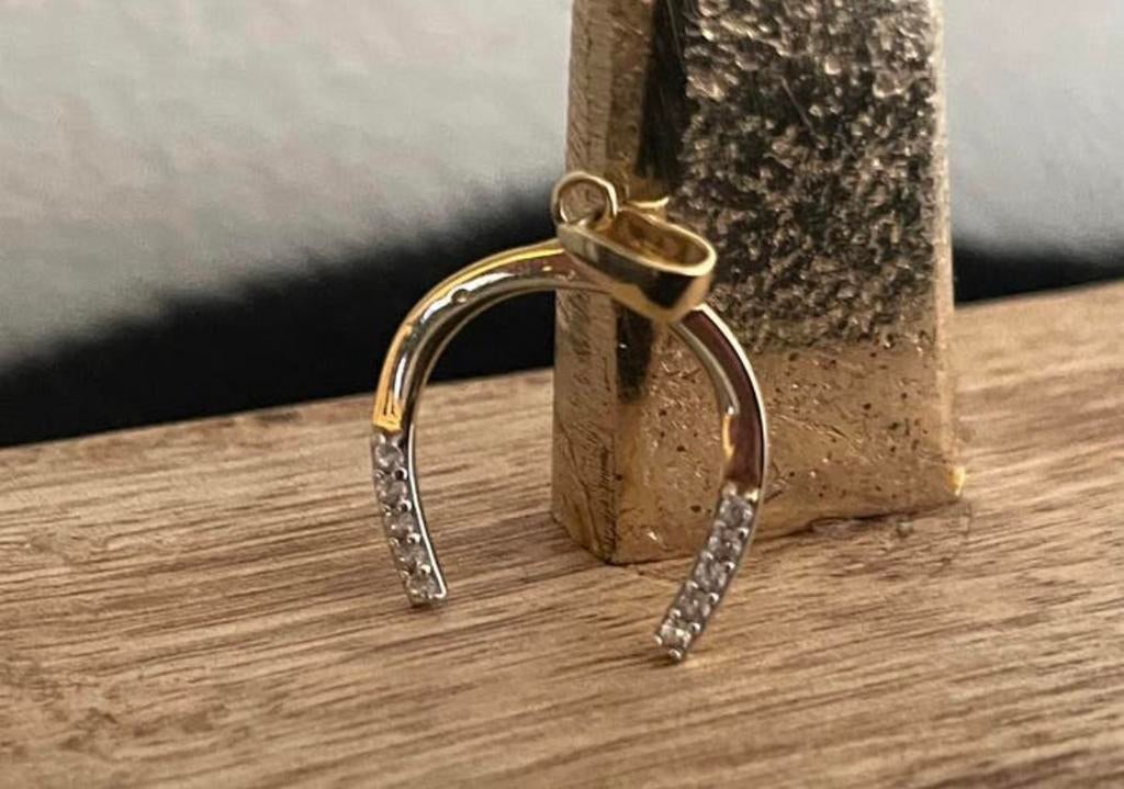 Hoefijzer 14-karaat gouden kettinghanger, Ophalen, Zo goed als nieuw, Goud