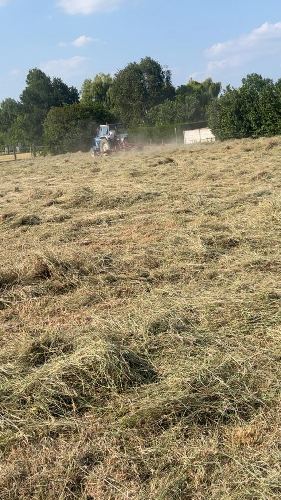 Hooi, Dieren en Toebehoren, Dierenvoeding, Vee, Ophalen