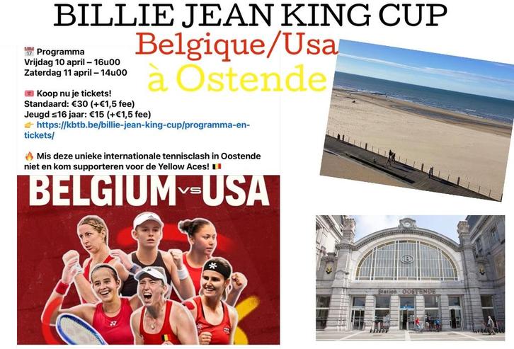 Studio sur la digue balcon face à la mer, 2+2 pers, Vakantie, Vakantiehuizen | België, Antwerpen of Vlaanderen, Appartement, Overige