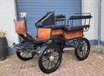 Menwagen koets rijtuig recreatiewagen, Comme neuf, Wagonette, Cheval ou Poney