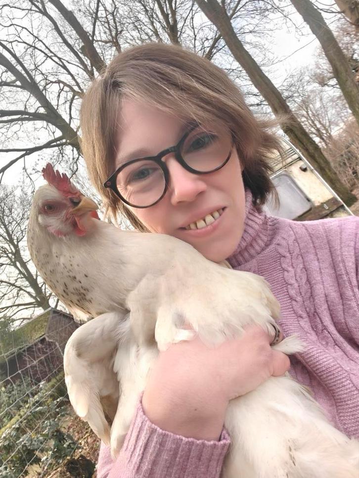 Kipjes gevraagd, Dieren en Toebehoren, Overige Dieren, Vrouwelijk, Januari