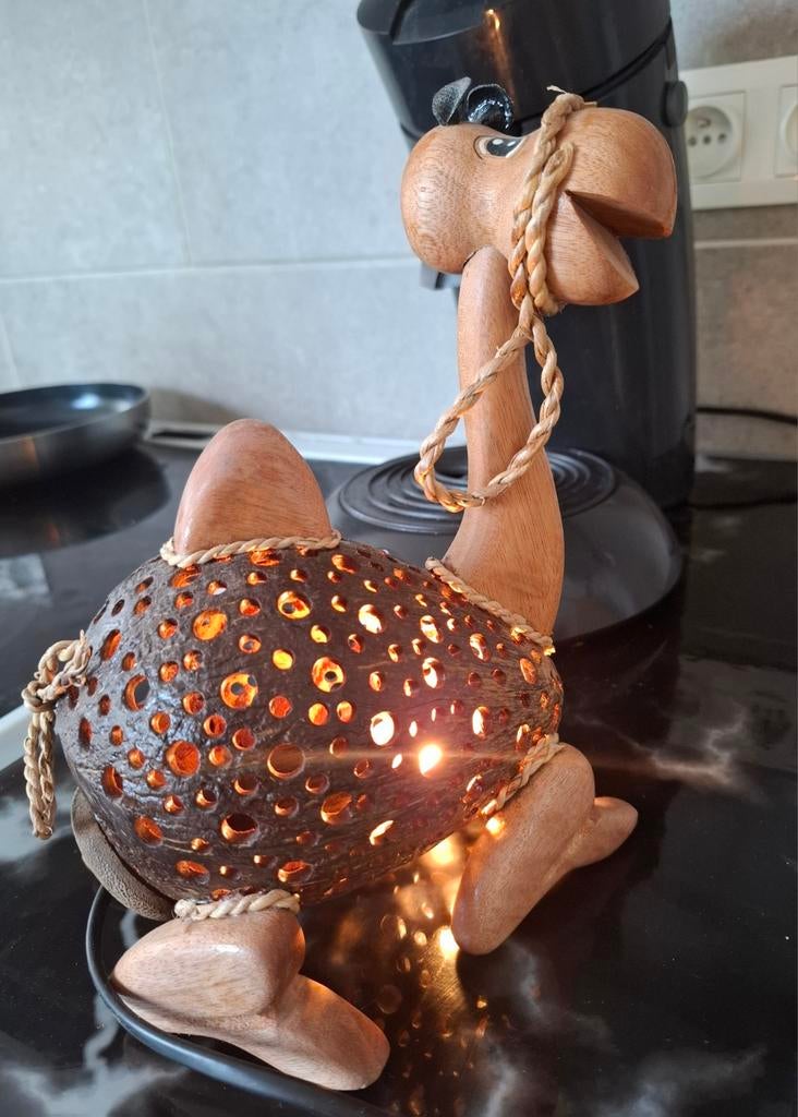 Nachtlamp kameel, Ophalen, Hout