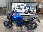 Suzuki	SV650, Motos, Motos | Suzuki, Entreprise, Plus de 35 kW, 650 cm³