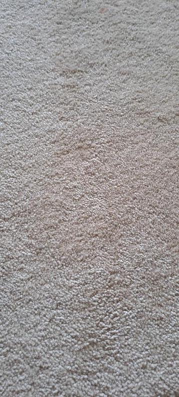 Tapijt NEW beschikbaar voor biedingen