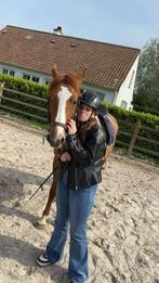 Ruiter zoekt zorgpaard, Dieren en Toebehoren