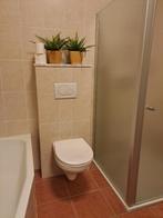 Hangtoilet Sphinx – wit – goede staat, Ophalen, Zo goed als nieuw, Overige typen