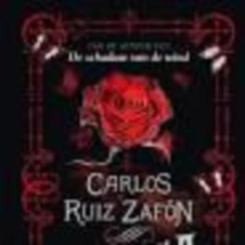 Marina Carlos Zafòn 238 blz beschikbaar voor biedingen