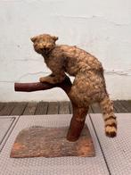 Magnifieke taxidermie meerkat op staander, Ophalen