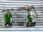 2 potjes voor decoratie, Ophalen