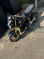 Moto MSX 125cc, Motos, Particulier, Sport