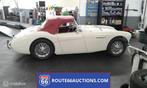 Austin-healey 100/4 BN2 Cabriolet 1955 | Route 66 Auctions, Wit, Leder, Bedrijf, Handgeschakeld