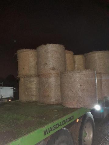 midi balen droog hooi beschikbaar voor biedingen