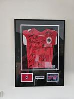 Gesigneerde  shirt rafc Antwerp seizoen 2009/2010, Ophalen, Zo goed als nieuw, Shirt