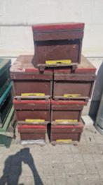 7 stuks 8 ramers simplex, Dieren en Toebehoren, Bijen