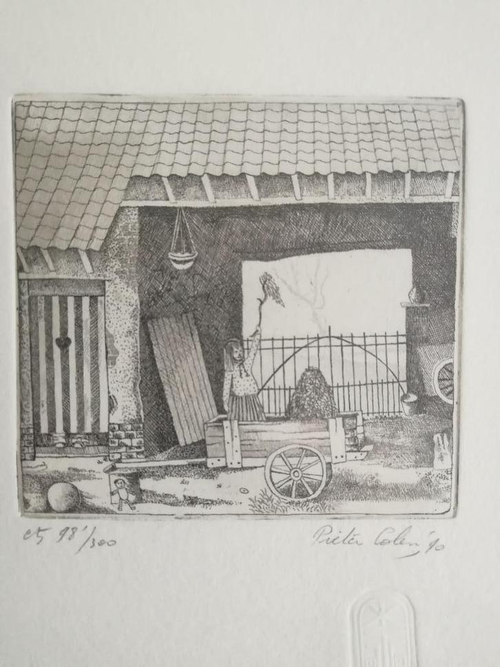 Pieter Colen Etsen (Boerderij zichten), Antiek en Kunst, Kunst | Etsen en Gravures, Ophalen of Verzenden