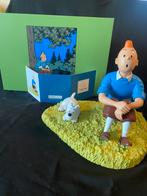 Kuifje en bobby op gras moulinsart hergé, Verzamelen, Ophalen of Verzenden