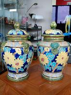 Vases floral asiatique chinois. 1950/70. Paire magnifiques, Ophalen of Verzenden