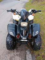 Quad 100 cc
