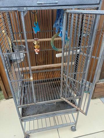 Papegaaien kooi  beschikbaar voor biedingen
