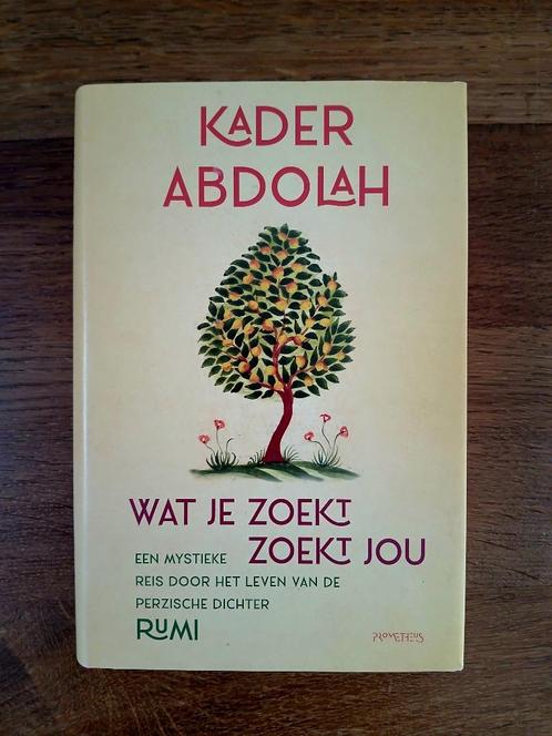 Wat je zoekt, zoekt jou - Kader Abdolah, Boeken, Overige Boeken, Zo goed als nieuw, Ophalen