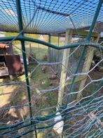 Bosfazanten, Dieren en Toebehoren