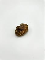 0.1 enchi freeway 66% het clown - Python regius, Dieren en Toebehoren