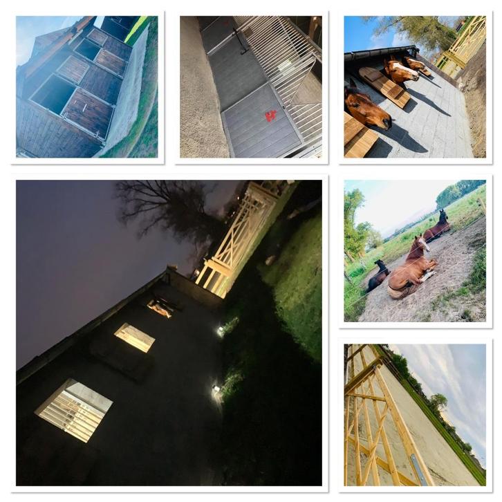 Stalling te huur, Dieren en Toebehoren, Stalling en Weidegang, Stalling