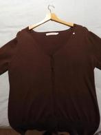 Mooie gilet dames Hampton Bays, nieuwstaat, Kleding | Dames, Truien en Vesten, Bruin, Maat 42/44 (L), Ophalen of Verzenden, Zo goed als nieuw