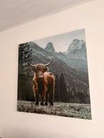 Tableau photo buffle, Enlèvement