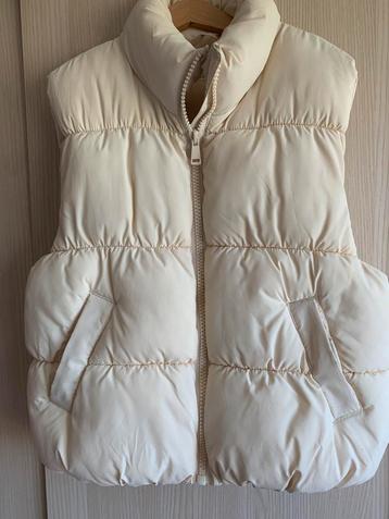 Bodywarmer maat 158/164 beschikbaar voor biedingen