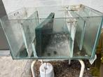 A donner aqua, Dieren en Toebehoren, Gebruikt