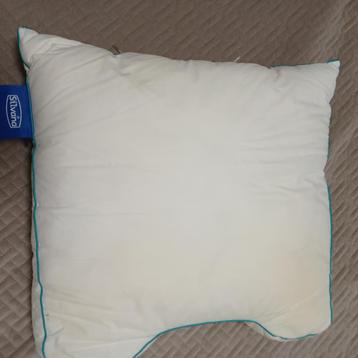 hoofdkussen sylvana beschikbaar voor biedingen