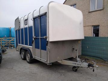 Paardentrailer Ifor Williams HB610 4 paarden, Ophalen, Gebruikt, Aluminium