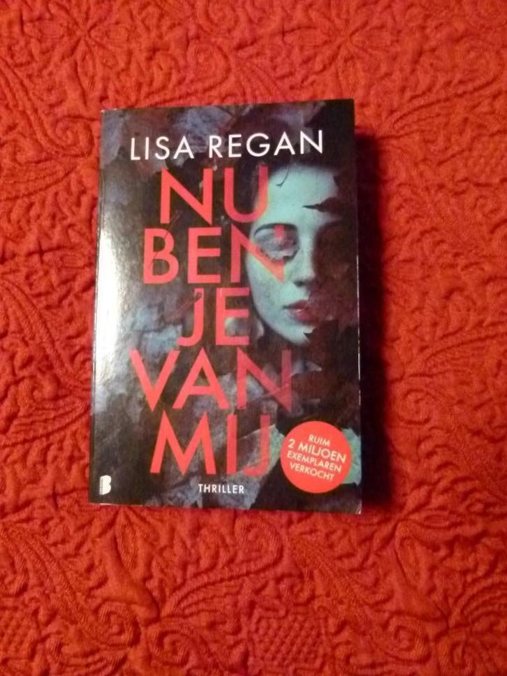"Nu ben je van mij" Lisa Regan, Boeken, Thrillers, Zo goed als nieuw, Ophalen of Verzenden