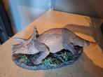 Nanmu sick triceratops, Ophalen