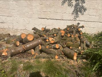 Bois de chauffage et bûches (cerisier), Enlèvement