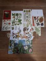 botanisch botanical stickers wenskaart tags, Hobby en Vrije tijd, Scrapbooking, Nieuw, Ophalen of Verzenden