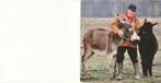 Jan Kurstjens met ezels 1940-2014, Collections, Images pieuses & Faire-part, Enlèvement ou Envoi