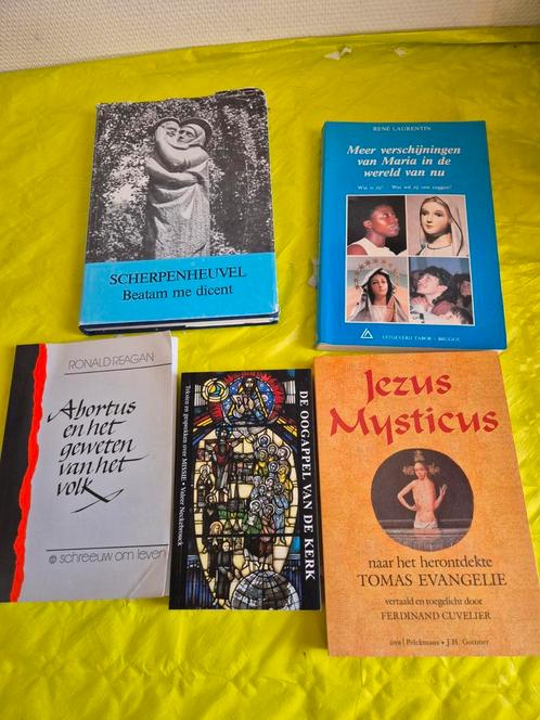 Religión en Maria verschijningen, Boeken, Esoterie en Spiritualiteit, Zo goed als nieuw, Ophalen