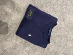Polo ralph lauren trui, Kleding | Dames, Truien en Vesten, Polo Ralph Lauren, Blauw, Nieuw, Ophalen of Verzenden