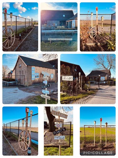 Plantenkwekerij ‘t Groene Land ZEEUWS-VLAANDEREN, Jardin & Terrasse, Plantes | Jardin, Enlèvement