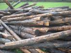 weidepalen, 100tal dennenhouten palen 3 m lang met punt, Enlèvement, Poteaux